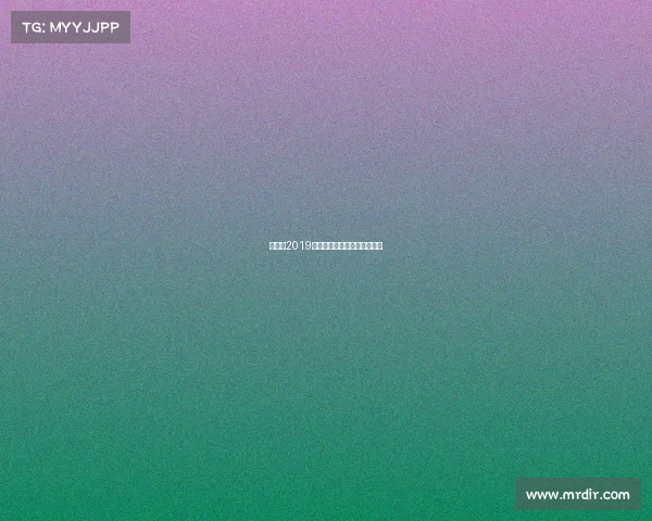 斯巴达2019赛事上海、斯巴达上海赛地点