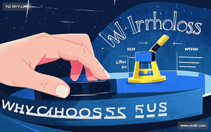 行业领先的理由